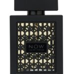 Perfum NOW for men 100ml by RAVE