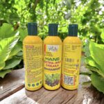 HANS REETHA AMLA SHIKAKAI SHAMPOO